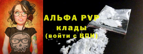 СК Няндома