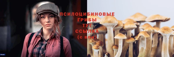 соль курить ск Нязепетровск