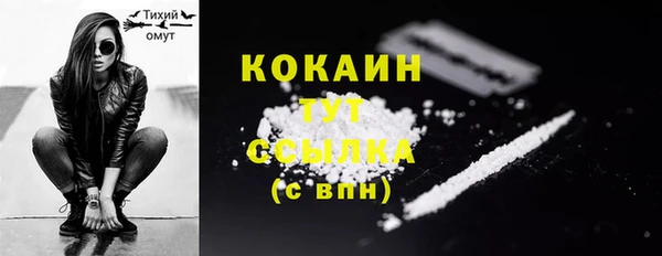 СК Няндома