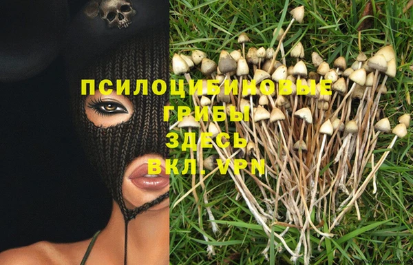 СК Няндома