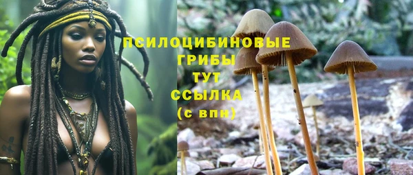 мдпв Нягань