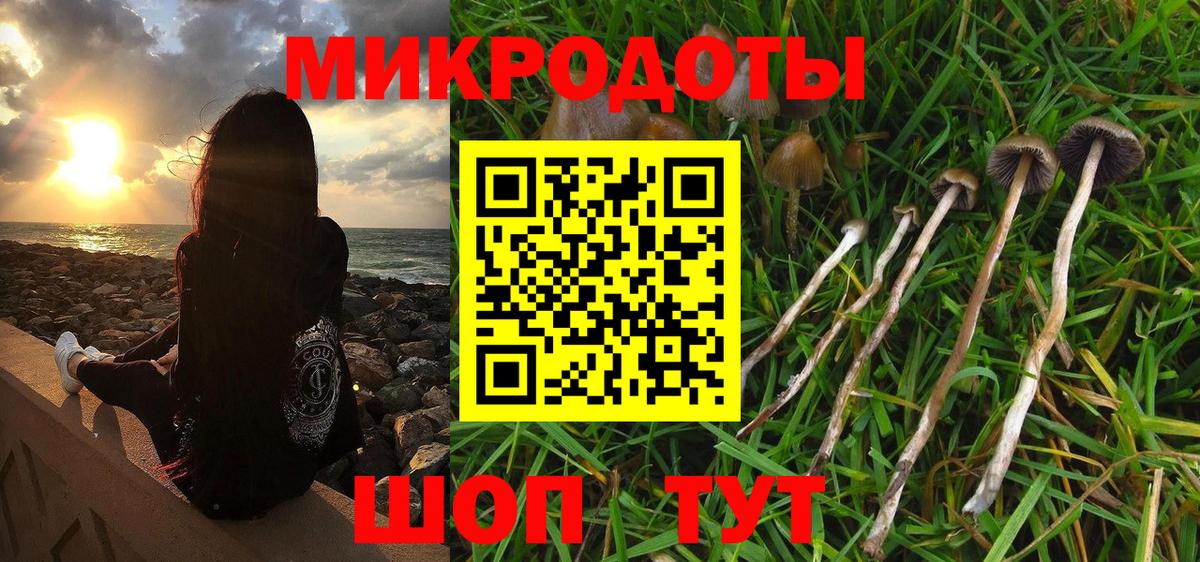 Галлюциногенные грибы мицелий  Вход с VPN  Псилоцибиновые грибы Magic Shrooms  Ипатово 